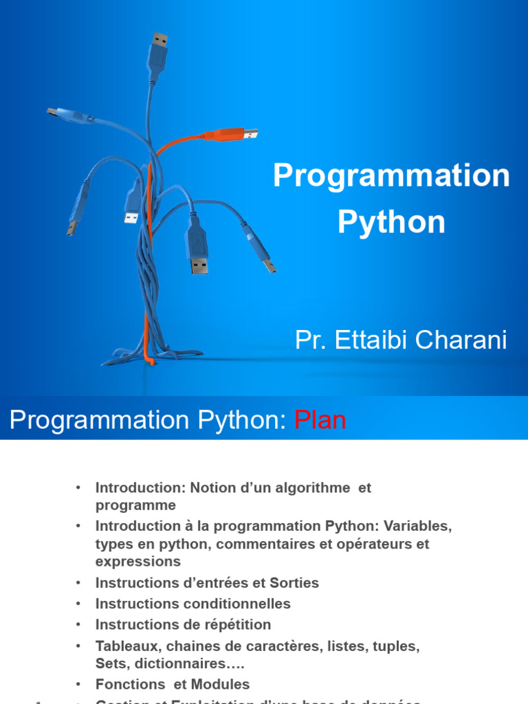 Introduction aux Commentaires en Python | PDF | Python (Langage de ...