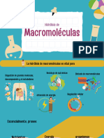 Hidrólisis de Macromoléculas