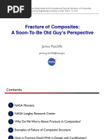 Fracture of Composites 1704851553