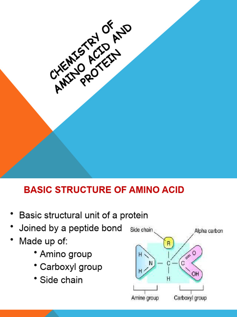 Amino Acids and Protein Chemistry Guide | PDF | Amino Acid | Hemoglobin