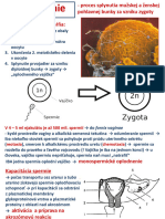 EmbrCloveka2 Blastogeneza