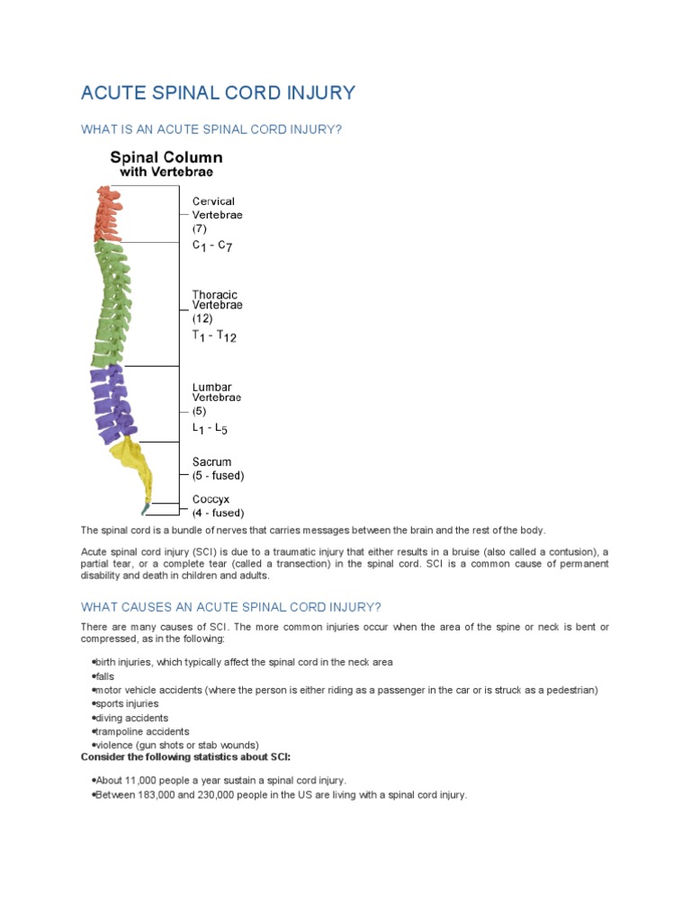 Acute Spinal Cord Injury Overview | PDF | Spinal Cord Injury | Major Trauma