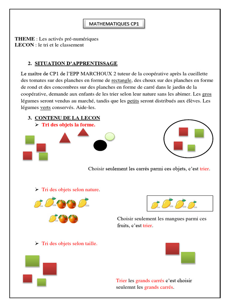 Tri et classement des objets en CP | PDF | Maison et jardin