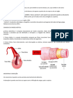 Dissecção Da Aorta