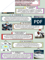 Infografía Problemáticas Ambientales (2)