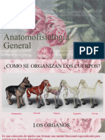 Anatomofisiología General