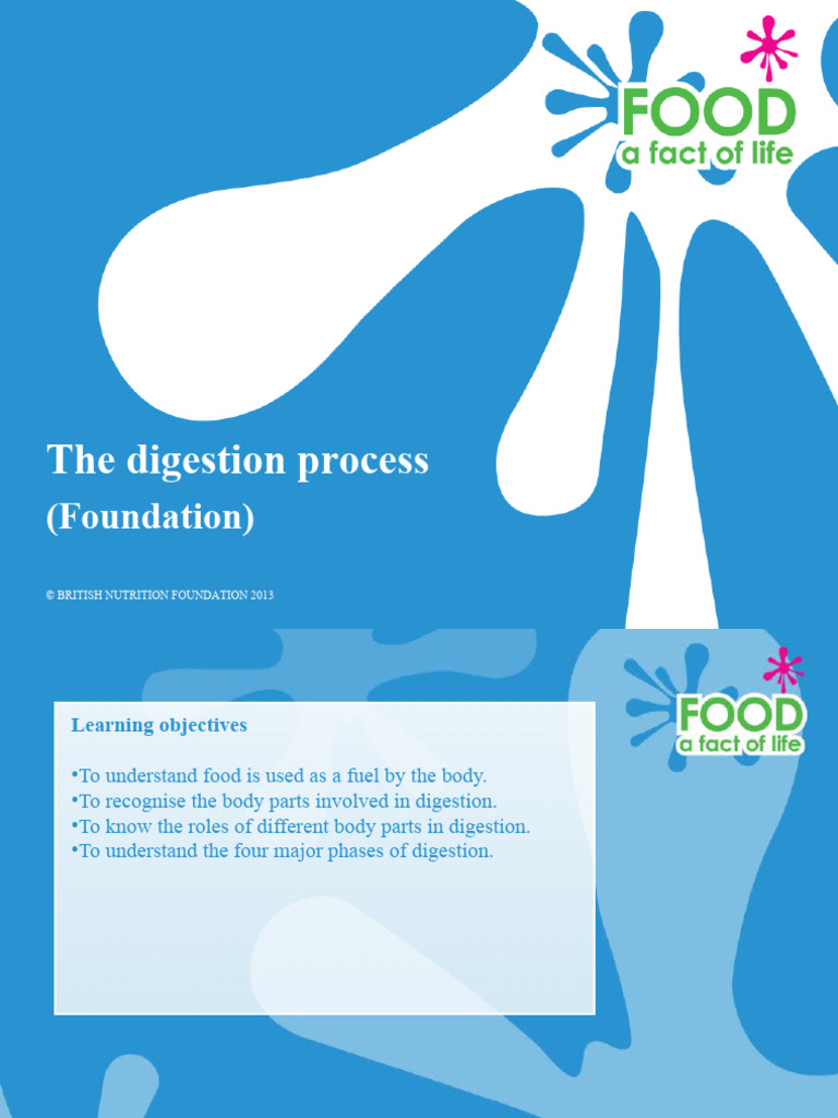 The Digestion Process Pdf Digestion Small Intestine