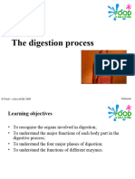 The Digestion Process II