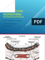 Respiratorio 7