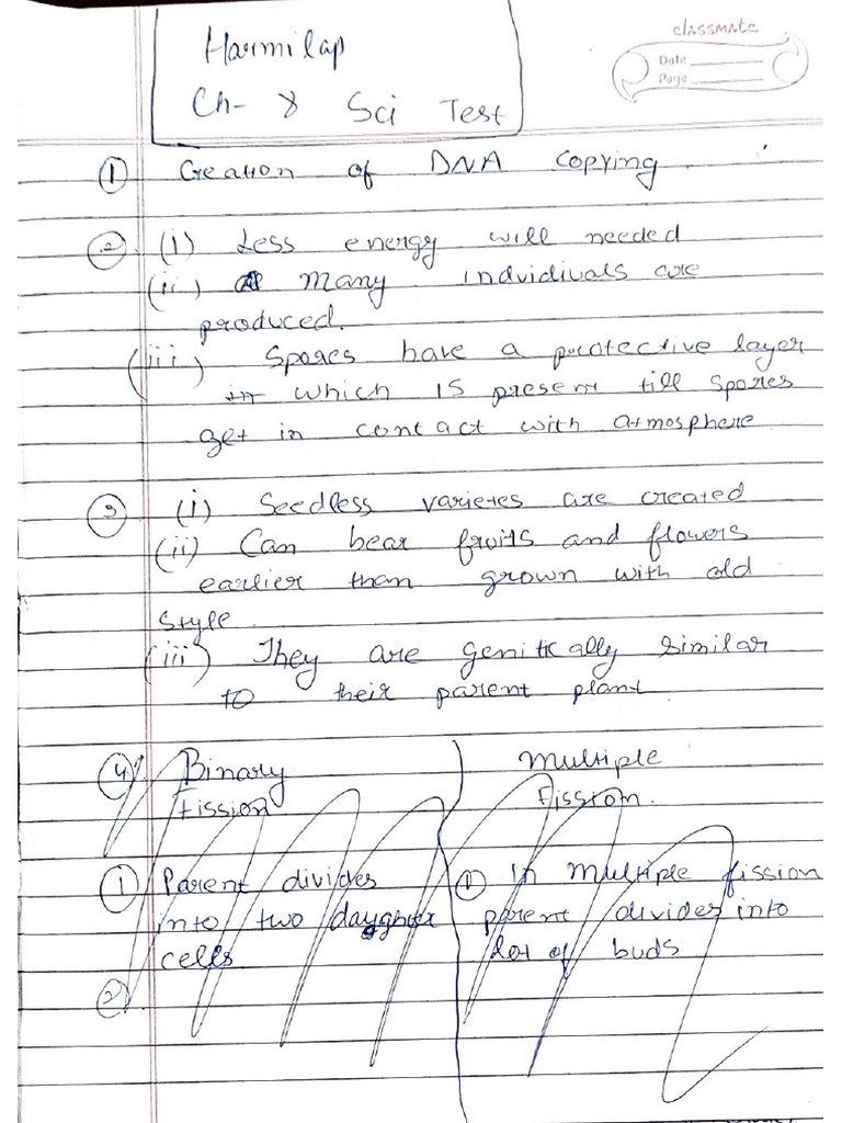 Science Test | PDF