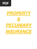 Property & Pecuniary Insurance