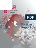 Forecast Report