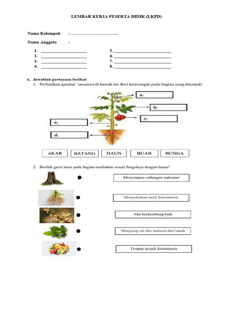 LKPD Bagian-Bagian Tanaman | PDF