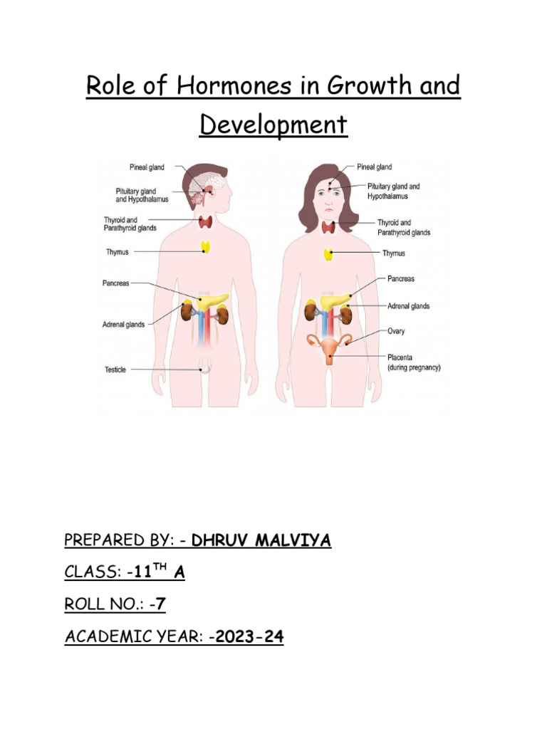 Role of Hormones in Growth and Development | PDF | Estrogen | Thyroid ...