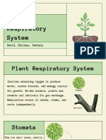 Respiratory