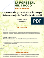 PRESENTACION PARA EXPOSICIÓN_FASE 3 diagnostico fitopatologico