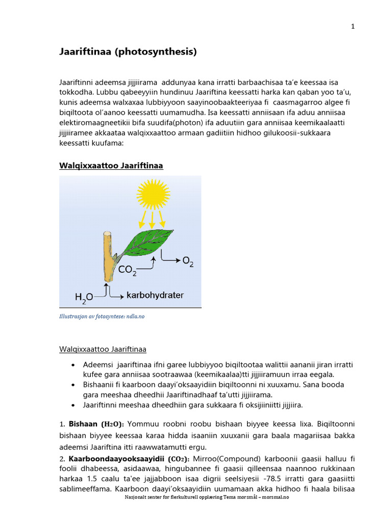 Jaariftina | PDF