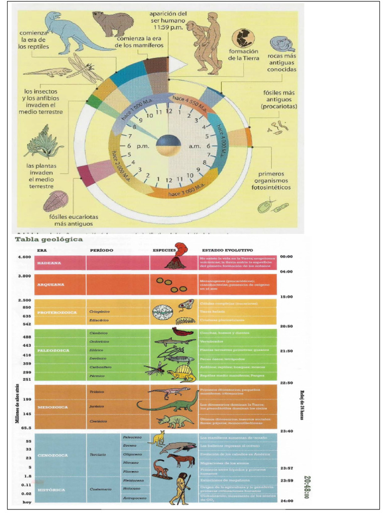 Eras geologicas PDF