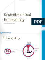 Gastrointestinal Embryology Atf
