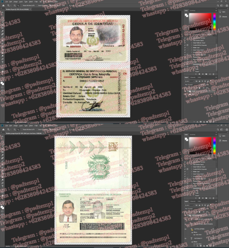 bolivia | PDF