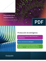 Fecundación e Implantación