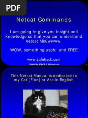 Netcat Commands Denial Of Service Attack Port Computer