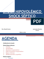 Shock Hipovolemico y Septico PP