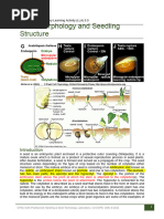 BIONETWORK Virtual Microscope Guide | PDF | Optical Devices | Microscopy