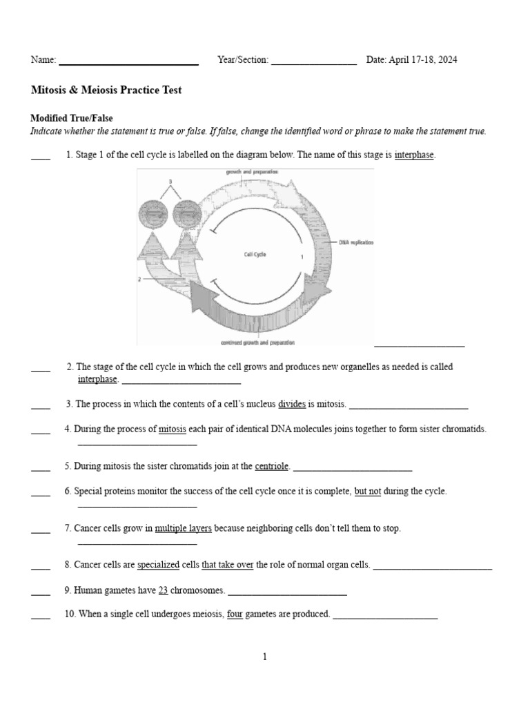 Cell cycle mitosis meiosis 4th q ww2 part 1 and 2 50 items pdf