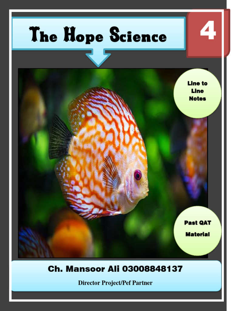 Class 4 Science Notes Overview | PDF | Ecosystem | Seed