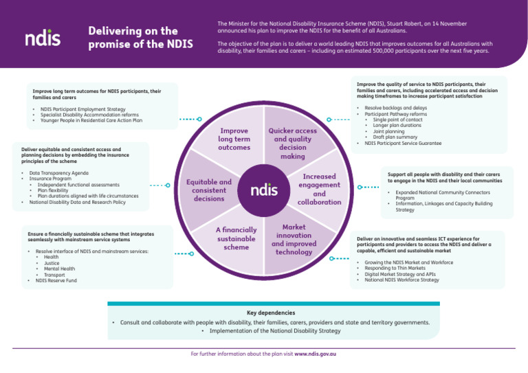 Ndis Care Plan Template
