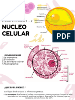 Núcleo Célula - HISTO