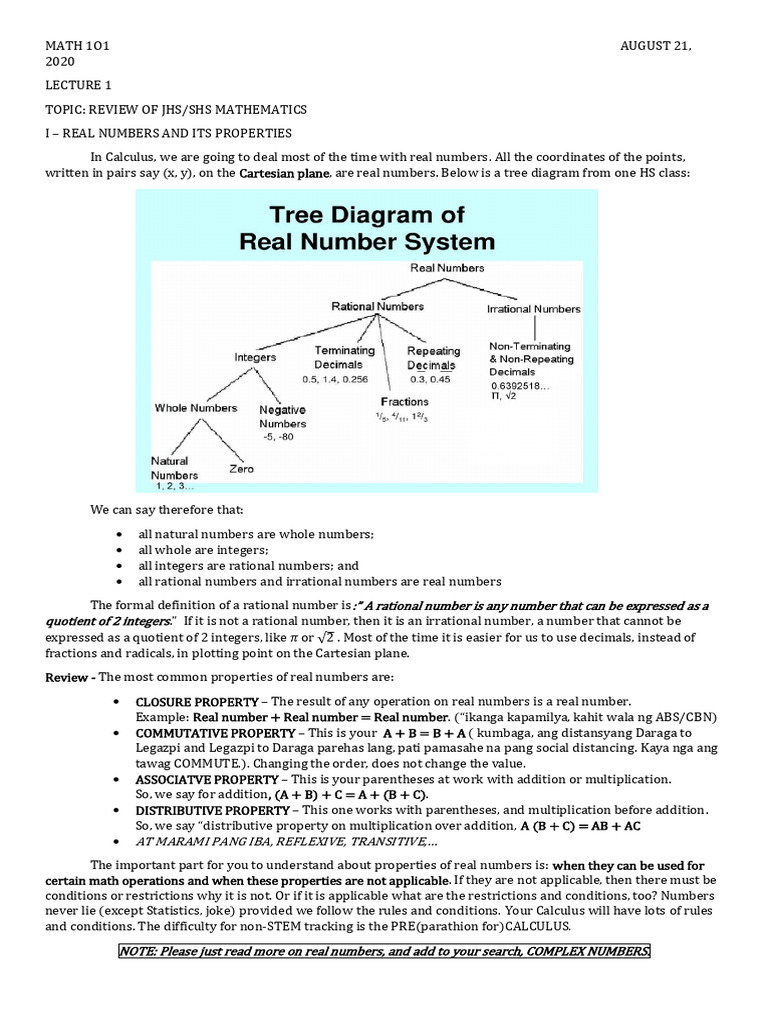 Lecture 1-1 Aug 21, 2020 | PDF | Function (Mathematics) | Numbers