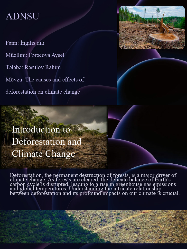 Deforestation's Impact on Climate Change | PDF | Deforestation | Carbon ...