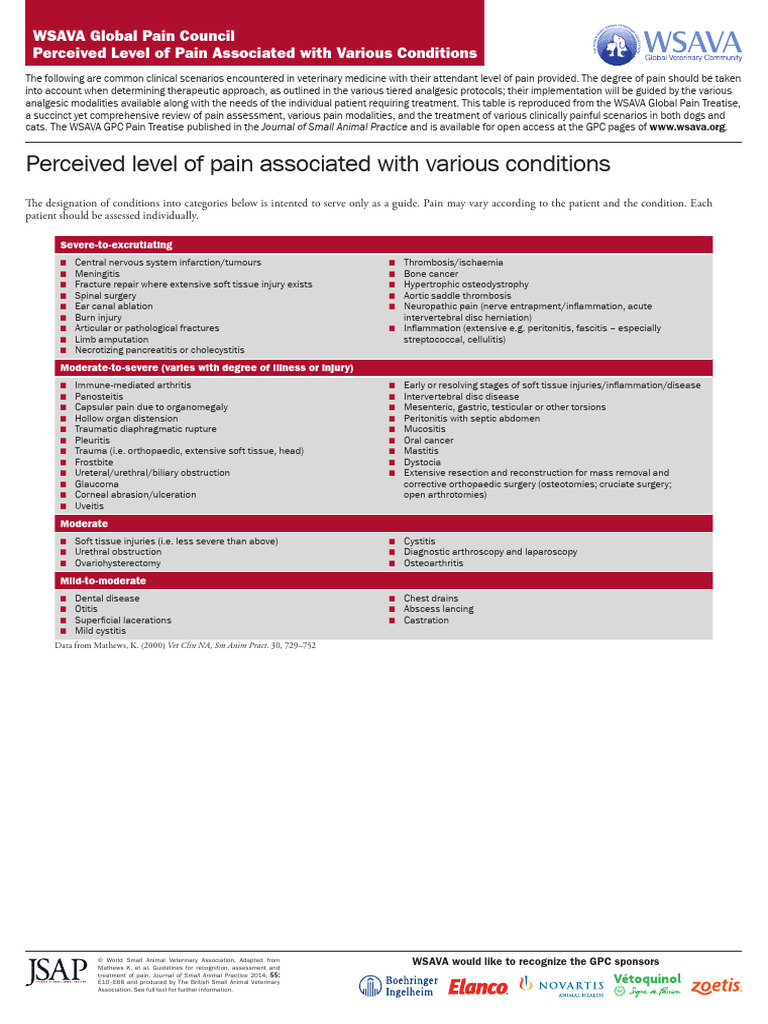 WSAVA Pain Management Guidelines | PDF | Pain | Medicine