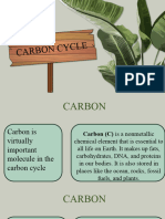 Carbon Cycle 1