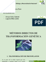 Métodos Directos de Transformación Genética Biotecnología Agrícola IX 2018