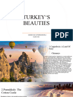 Turkeys Beauties