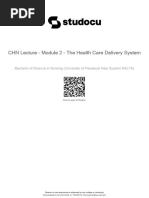 chn-lecture-module-2-the-health-care-delivery-system