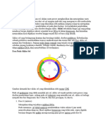 Revisi Pembelahan N Regenerasi Sel