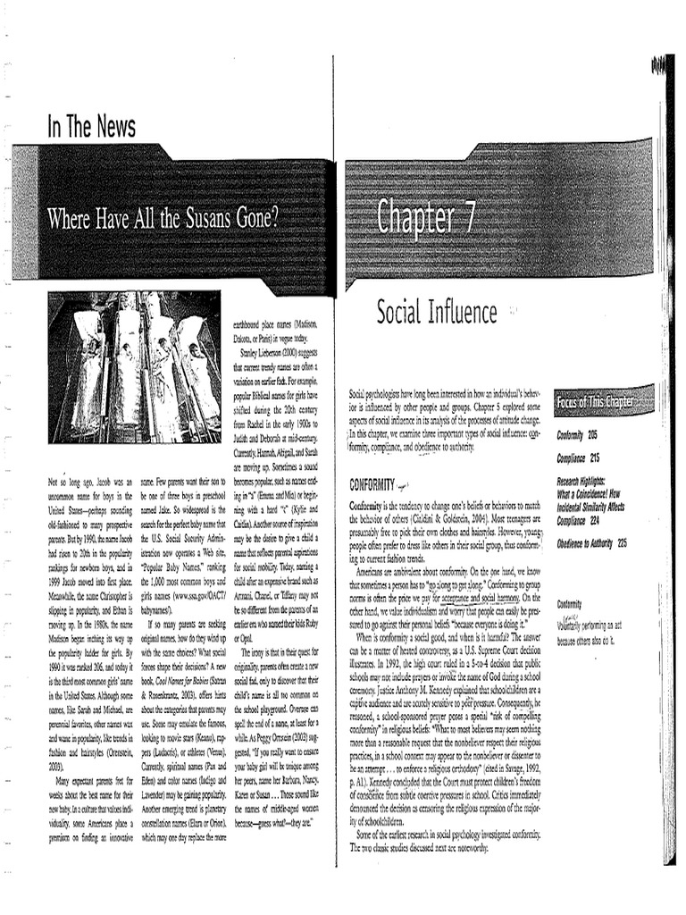 Social Influence | PDF