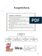 IV Bim - 2do. Año - Bio - Guía 3 - Reptiles