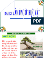Sinh Hoc 11bai 15 Cam Ung o Thuc Vat - 271120238