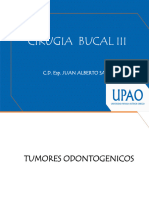 Clase 4 UPAO Cirugía Bucal III Tumores Odontogénicos