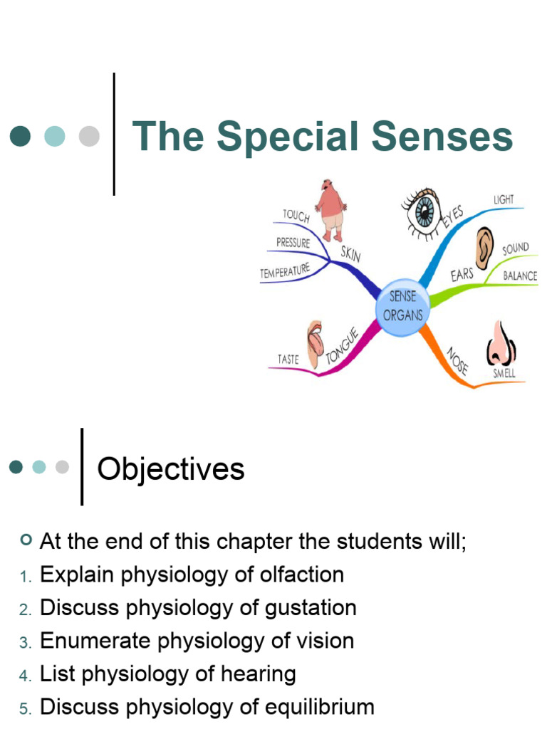 Special Senses | PDF | Taste | Human Eye