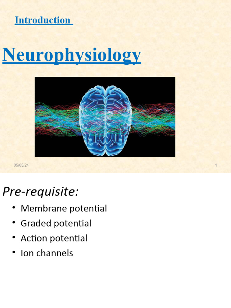 Introduction to Neurophysiology Basics | PDF | Chemical Synapse ...