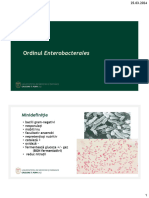 II. 6. Enterobacterales