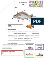 PL - Ryby, Obojžilvelníky A Plazy