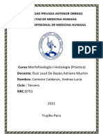 Láminas s1 Morfofisiologia Centeno Calderon Andrea Lucia