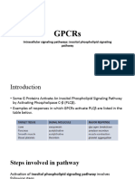GPCR Inositol Phospholipid Signaling Pathway